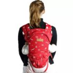 Picture of Bestbaby baby carrier and baby products carrier both use of backpack and frontside